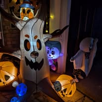 Baby Boo spider-web display