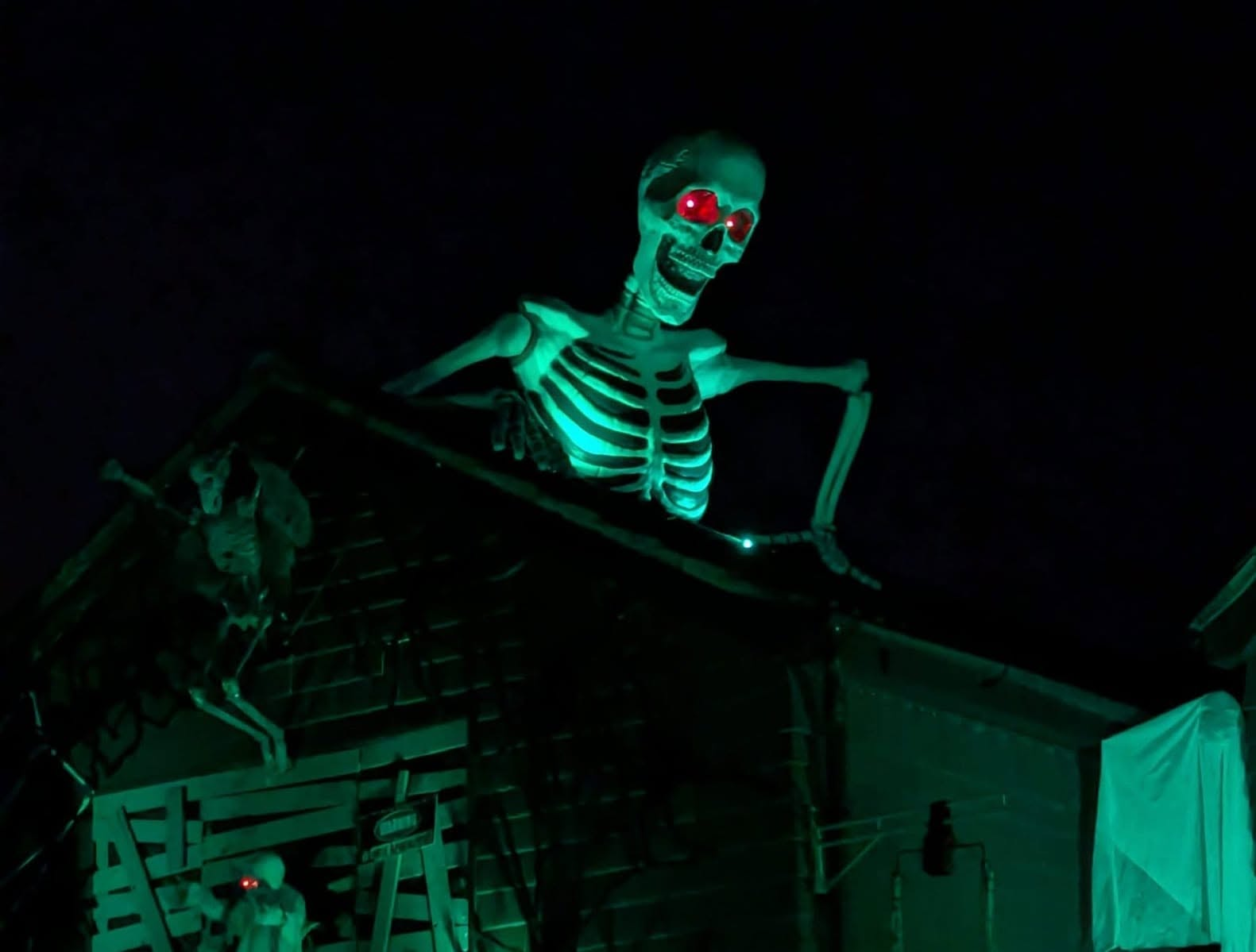 Visitors enjoying PlantationVille on Halloween night